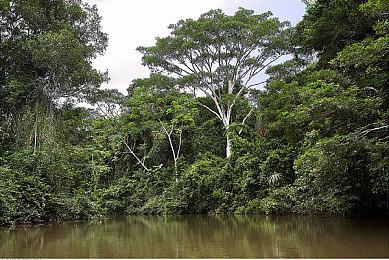 动视总裁认为微软收购对《使命召唤》系列大有好处